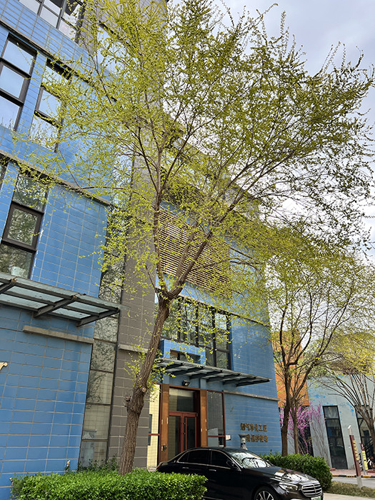 Beijing Snail Medical Co., Ltd.