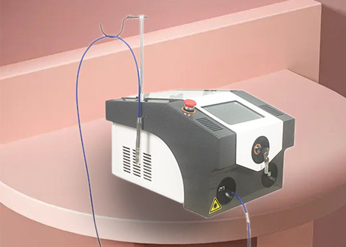 Comprimento de onda da C.A. 220V/110V 50HZ/60HZ 5A/10A 980nm do tratamento do laser do nanômetro KTP do ABS 532