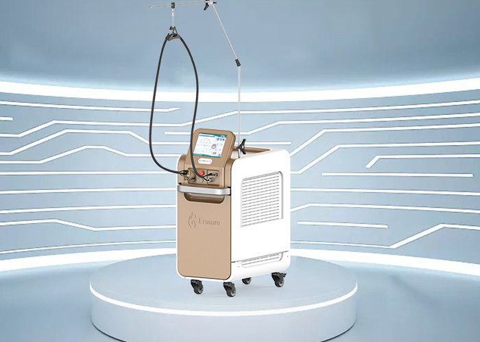 C.A. portátil da máquina 220V da remoção do cabelo do laser do Alexandrite 755nm com PP DI Filtro